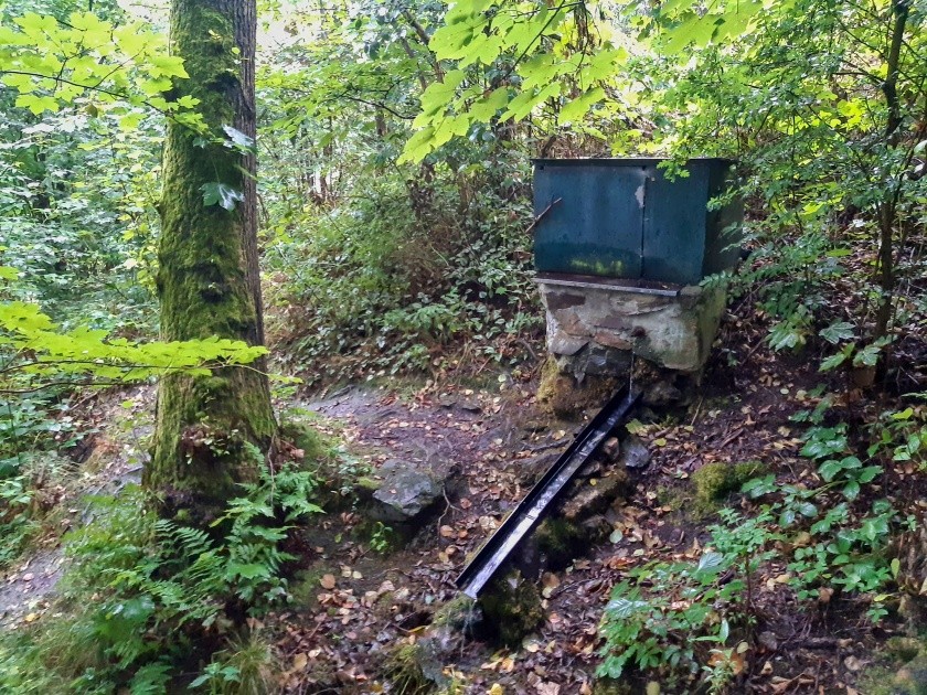 studánka bez jména (14922)