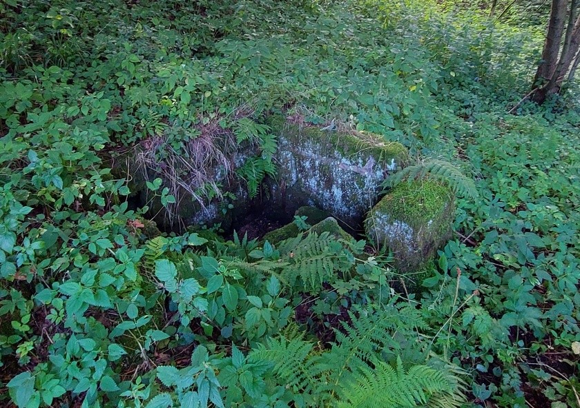 Lázeňská studánka (14938)