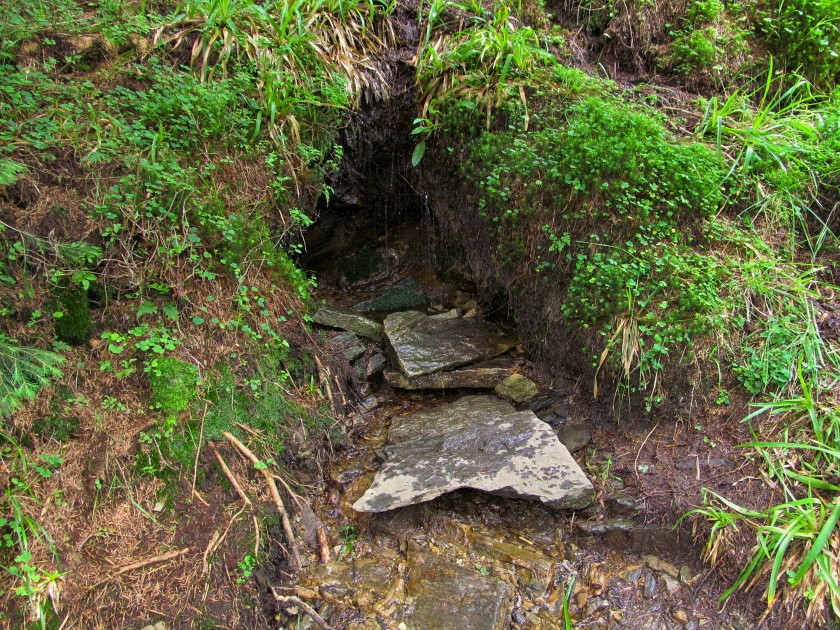 Koňský pramen (14942)