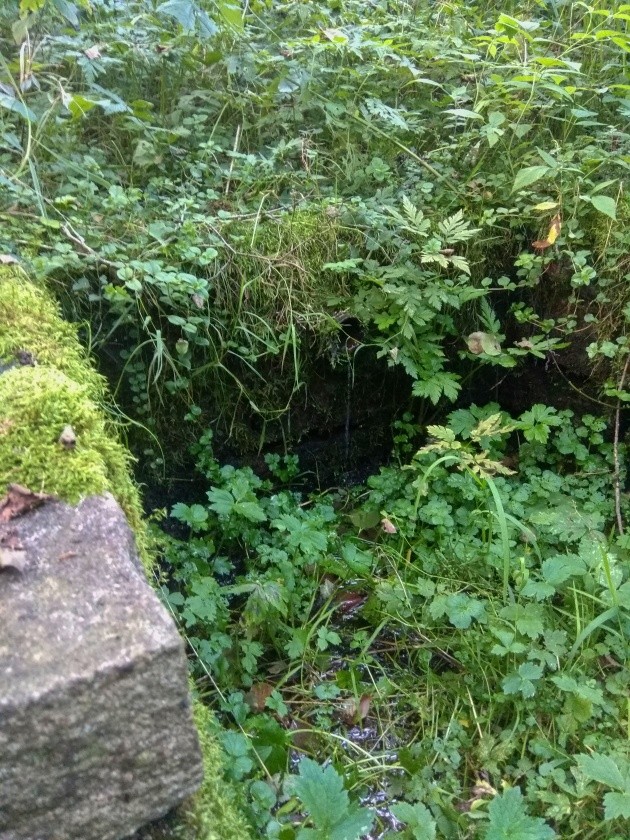 studánka U Huti (14955)