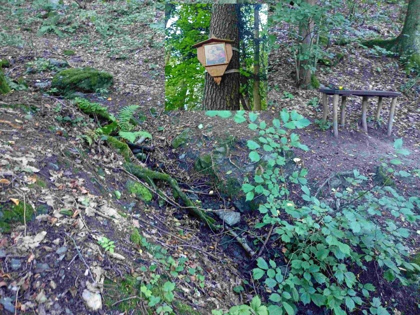 studánka U Panny Marie (14956)