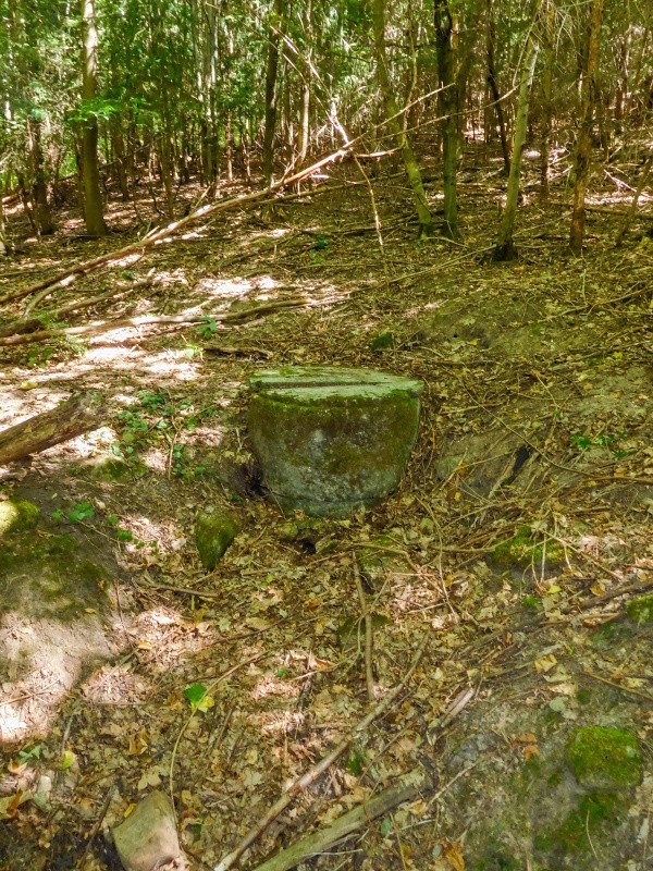 studánka Orlitka (14963)