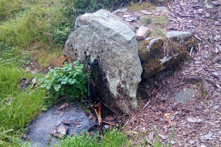 studánka Frýdavská (14964)