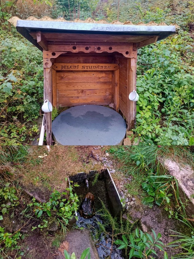 Jelení studánka (14966)