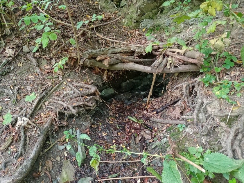 studánka bez jména (14967)