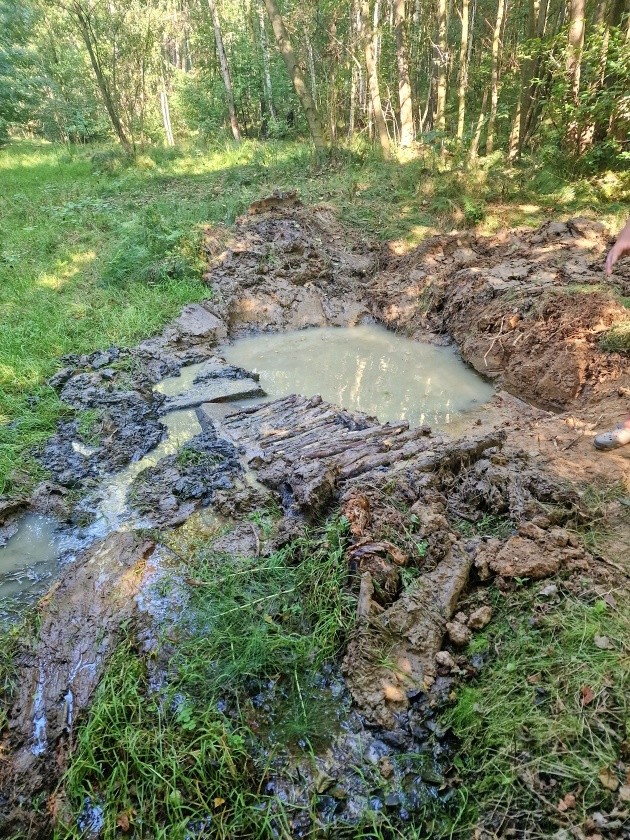studánka Vrablovecký Medvědice  (14980)