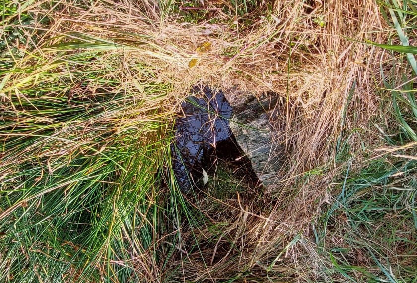 Hoblouňská studánka (14986)