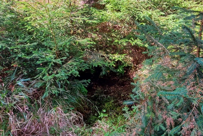 Studánka Šimona a Pavla (14991)