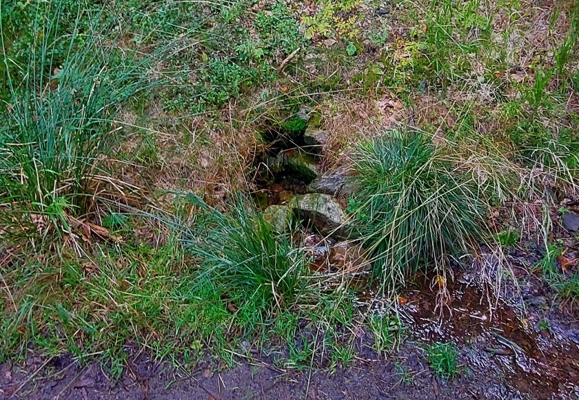studánka Pod sjezdovkou (14992)