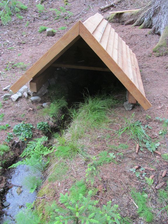Hajného studánka (14998)