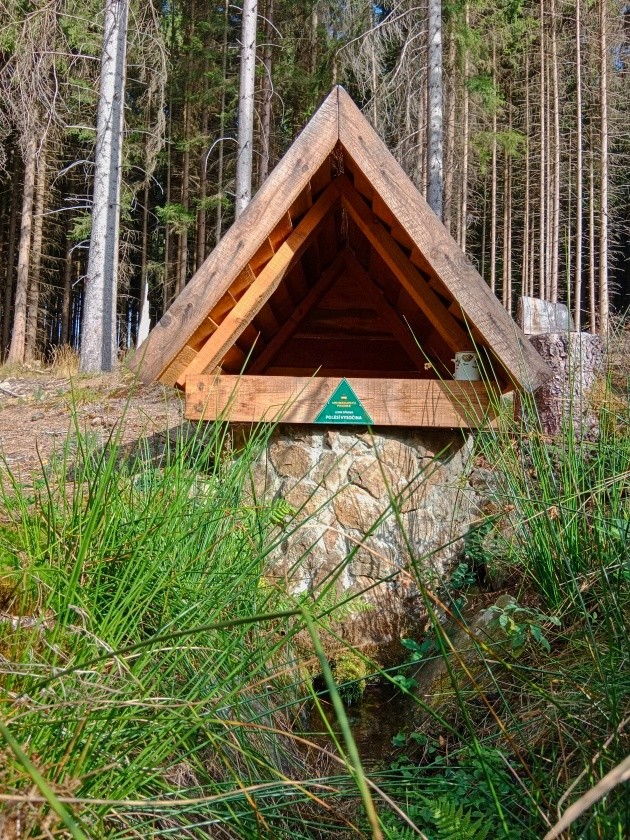 Švejborská studánka (15001)
