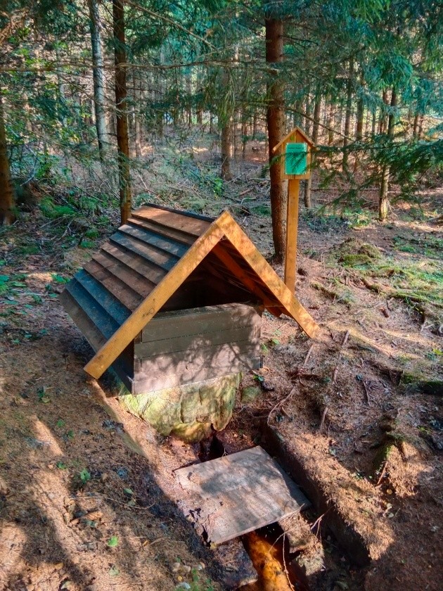 studánka U Svatkovy hájovny (15002)