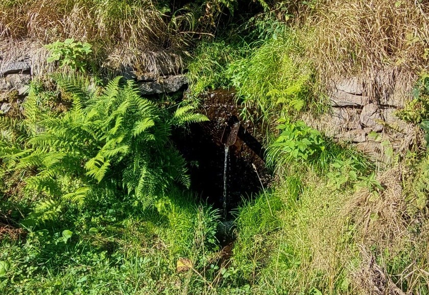 studánka bez jména (15005)