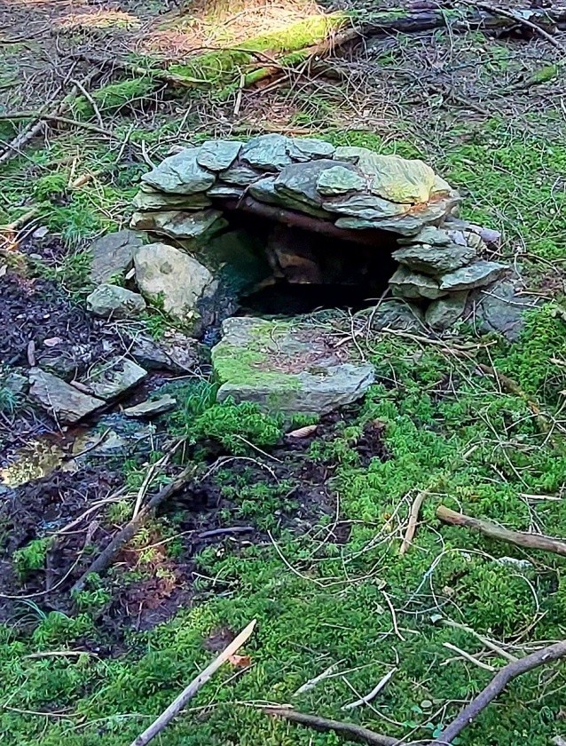 studánka U křivé jedle (15015)