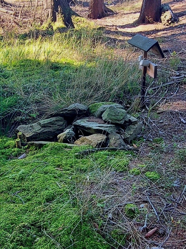 studánka Pavláska (15016)