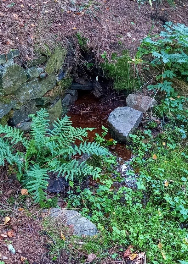 studánka bez jména (15020)