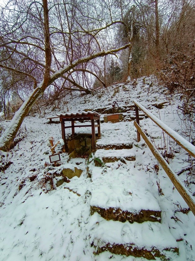 studánka U rybníčku (15053)