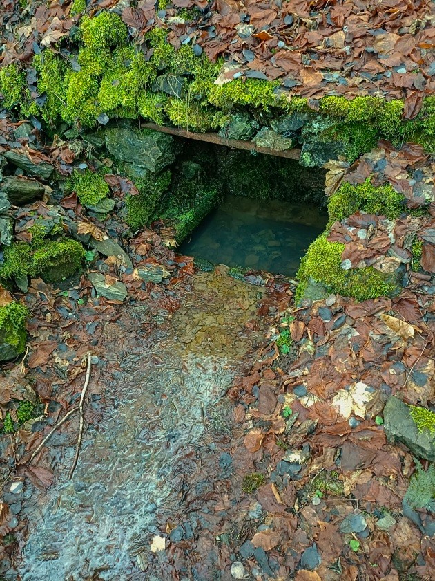 studánka bez jména (15054)
