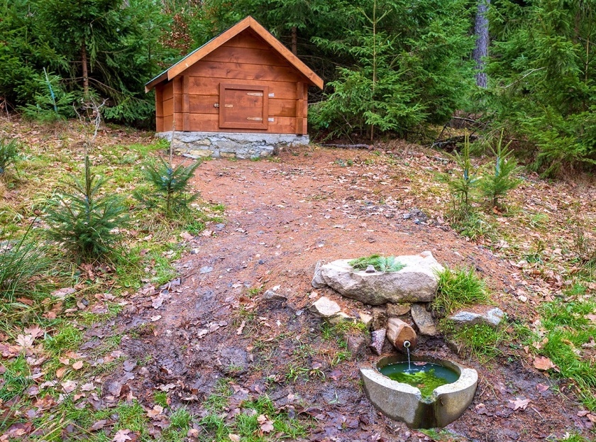 studánka V zákrutě (15068)