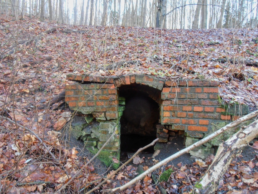 studánka bez jména (15085)