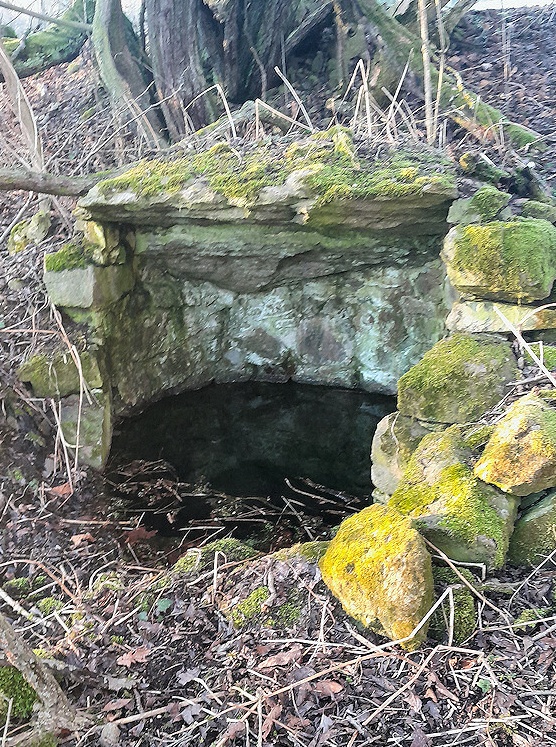 studánka Na mezi (15087)