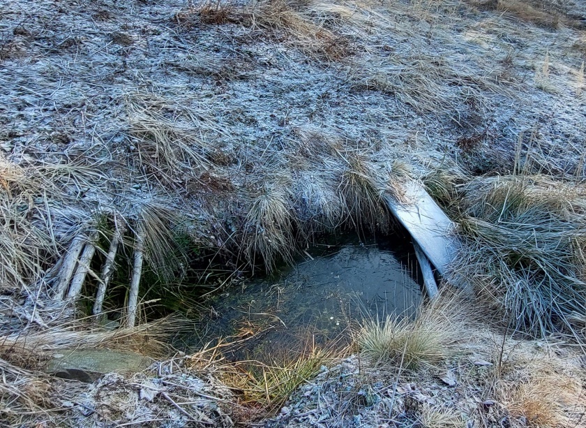 studánka V zatáčce (15090)
