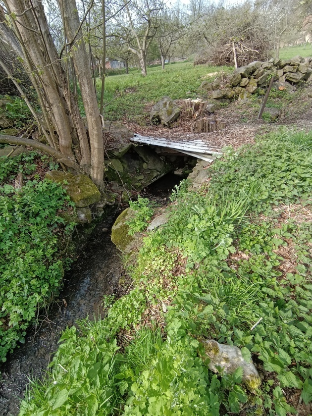 studánka bez jména (15095)