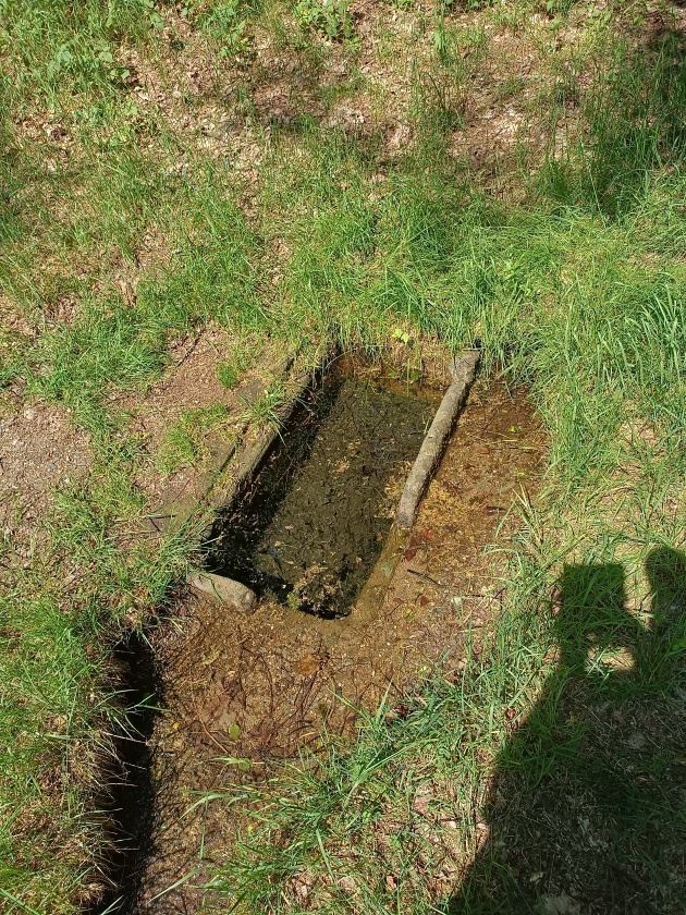 studánka bez jména (15099)
