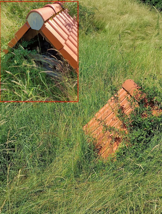 studánka bez jména (15102)