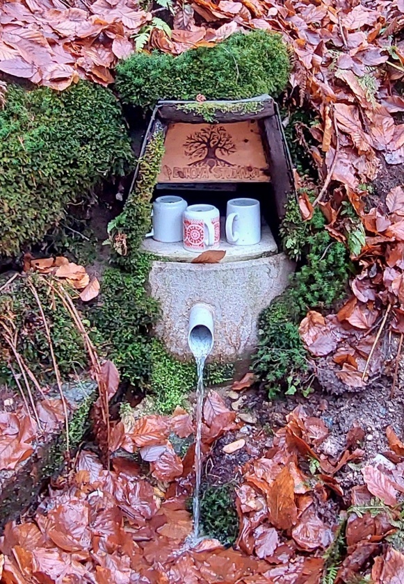 Buková studánka (15111)