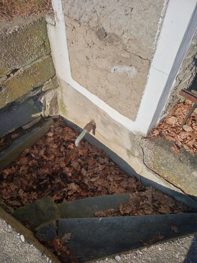studánka bez jména (15116)
