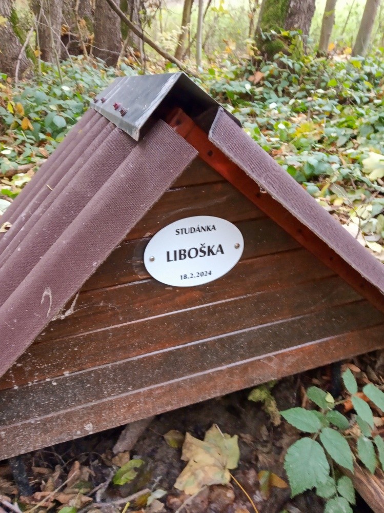 pramen Liboška (15117)