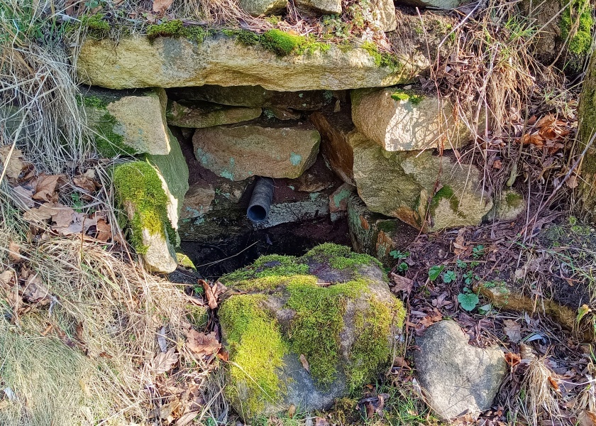 studánka U vrbiček (15118)