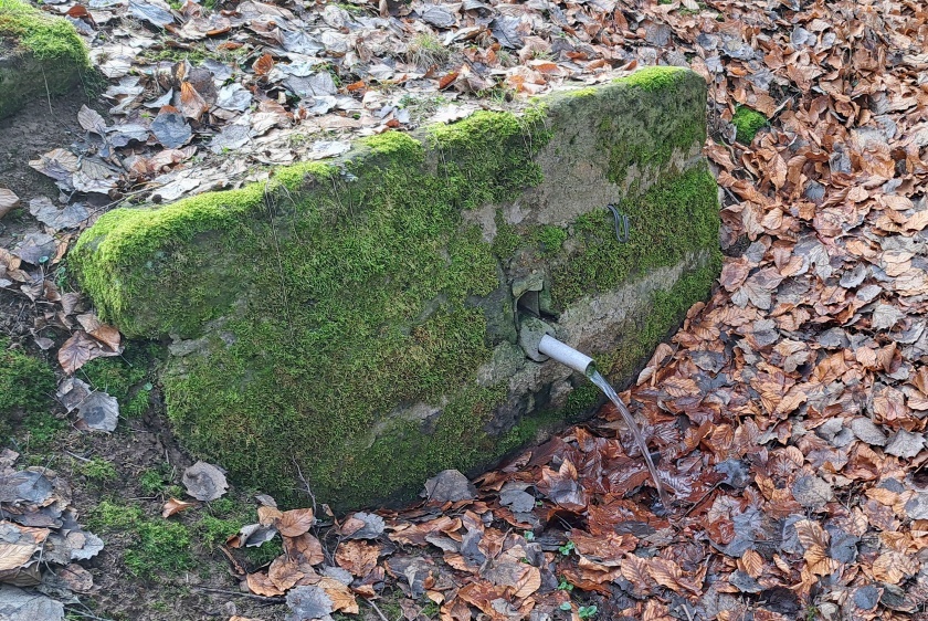 studánka bez jména (15124)