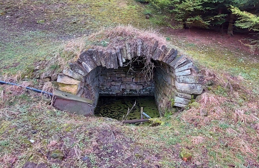 studánka Pod rybníkem (15125)
