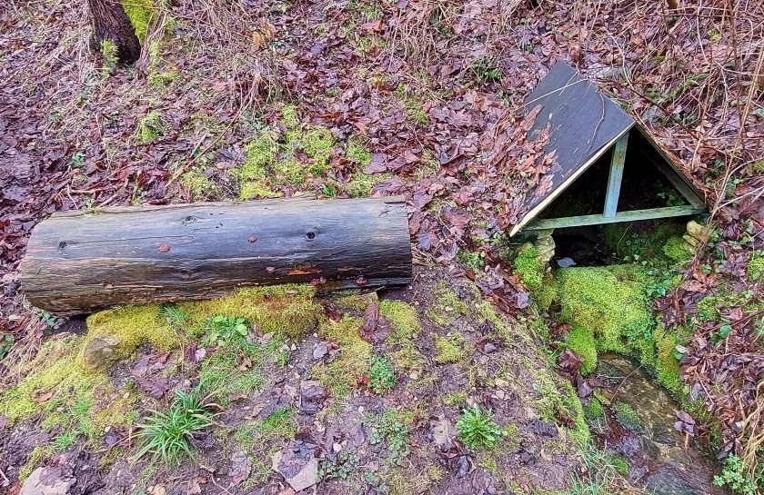 studánka Pod tvrzí (15127)