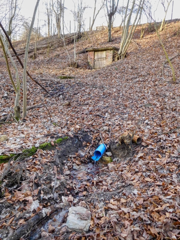 Holasická studánka (15136)