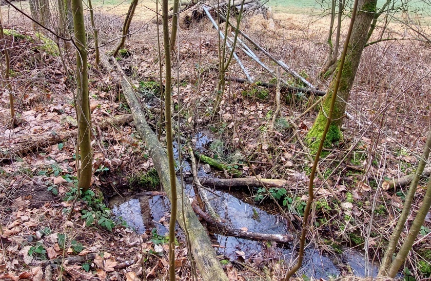 studánka Na rozcestí (15138)