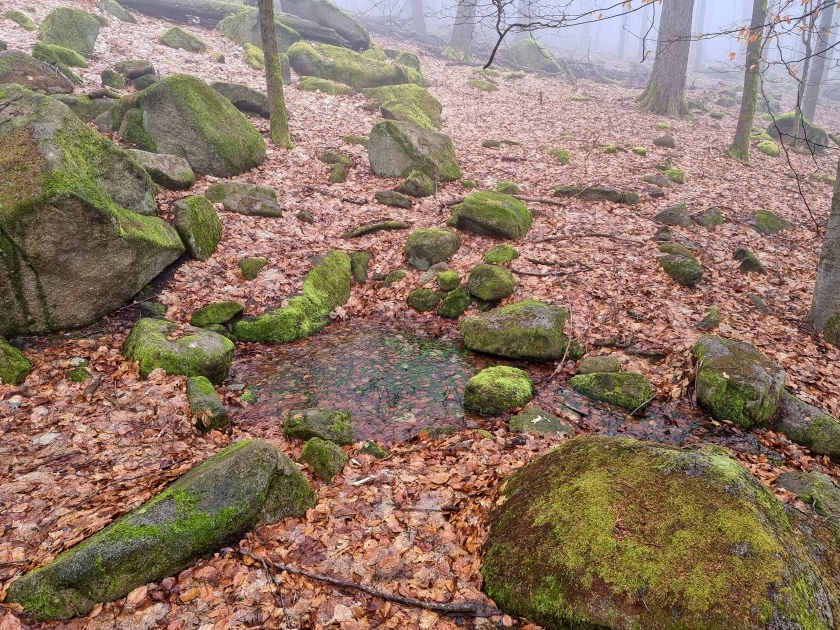 studánka Pod Vlčicí (15146)