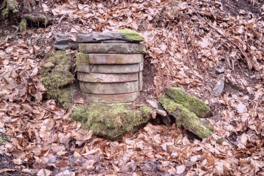 studánka bez jména (15150)