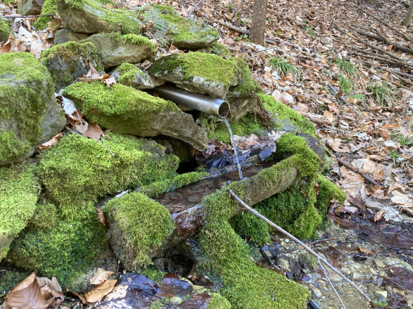 studánka Na Zuberáku (15152)