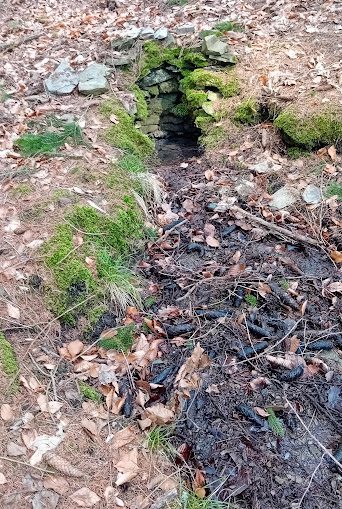 studánka bez jména (15154)