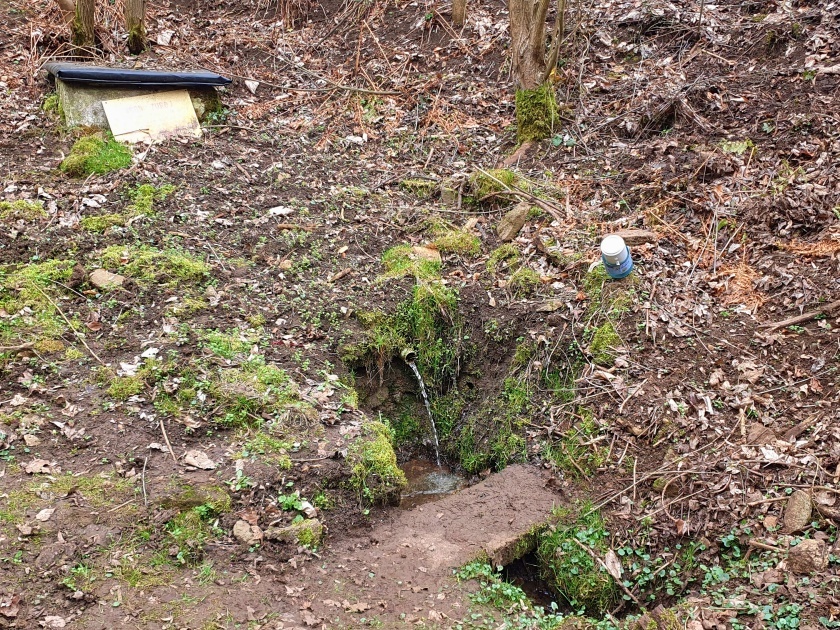 studánka V Lipovce (15157)