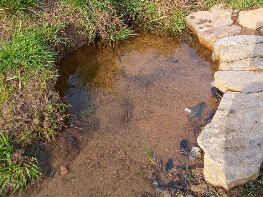 Maškova studánka (15160)