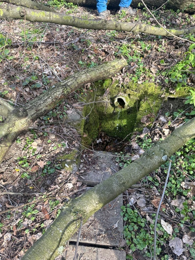 studánka bez jména (15166)