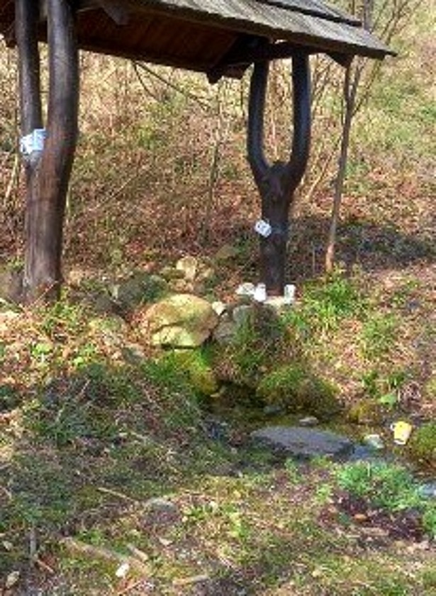 studánka Pod Kunovickou hůrkou (15167)