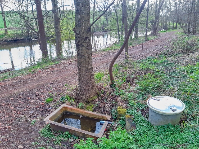studánka Pod Višňovkou (15177)