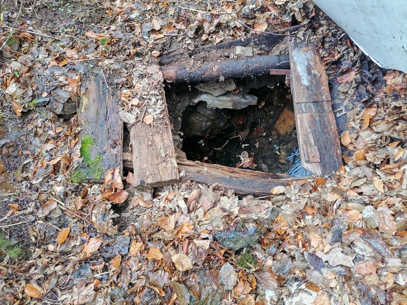 Studánka pod Krkavčí skálou  (15178)