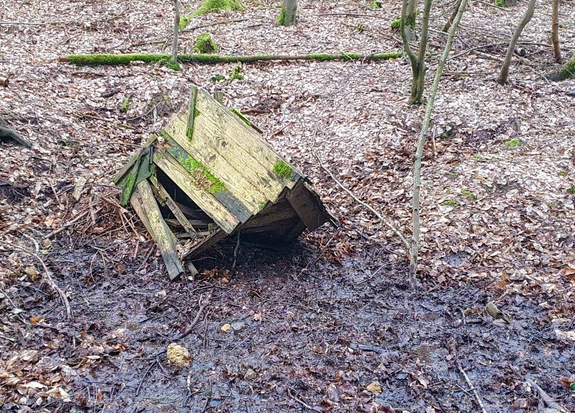 studánka Pod Holým vrchem (15179)