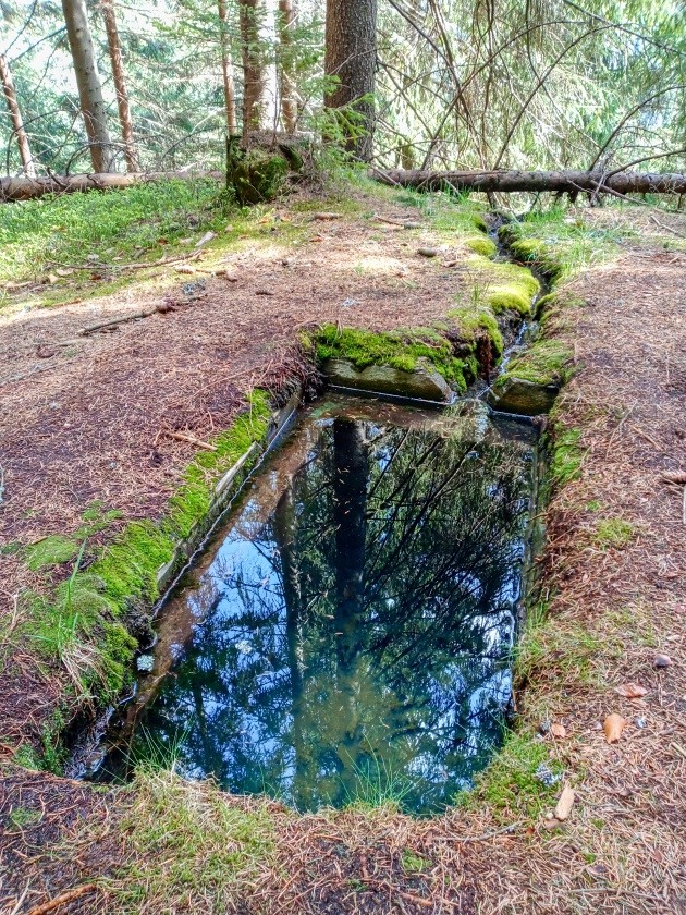 studánka bez jména (15181)